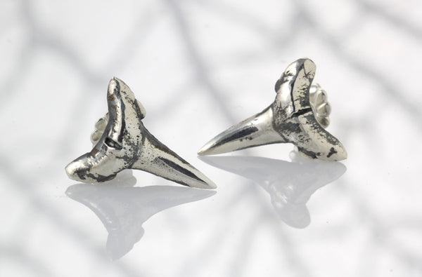 Sterling Silver Bull Shark Tooth Earrings